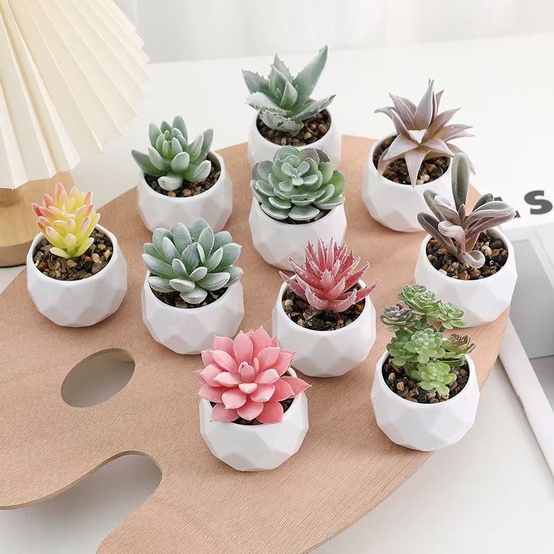 Cactus Mix Pot - Mini Artificial Plants Simulation Evergreen Succulent