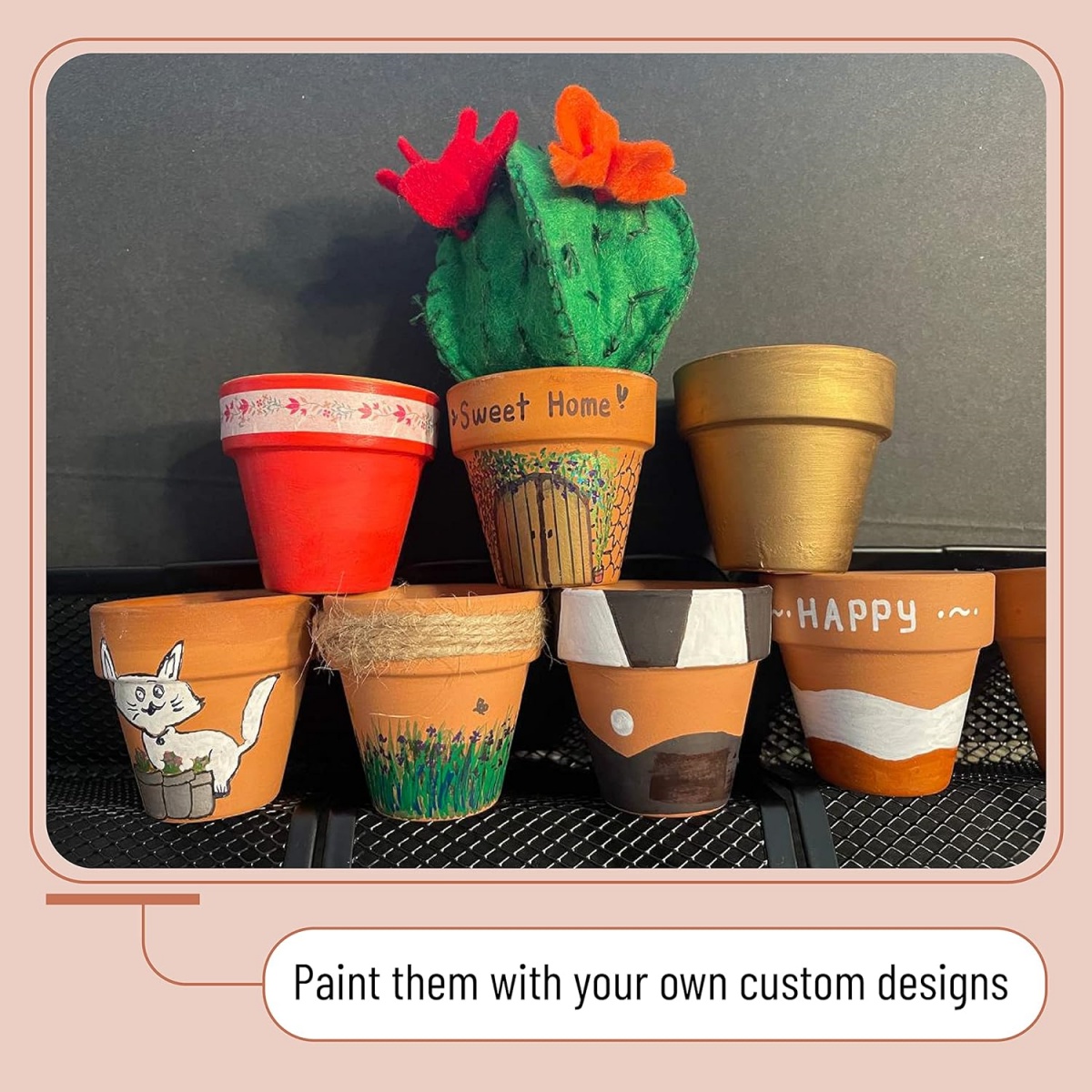 6pcs 4 inch Terracotta Pots Fl - đánh giá và giá Cactus Mix Pot