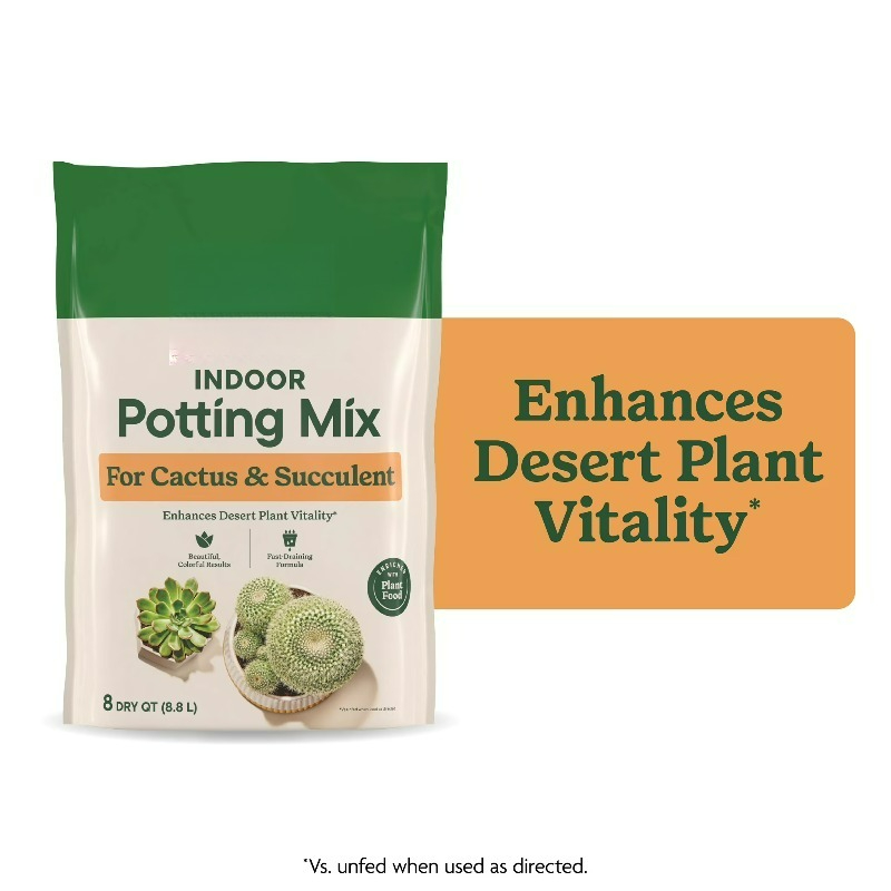 (2 pack)  Indoor Potting Mix f - đánh giá và giá Cactus Mix Pot