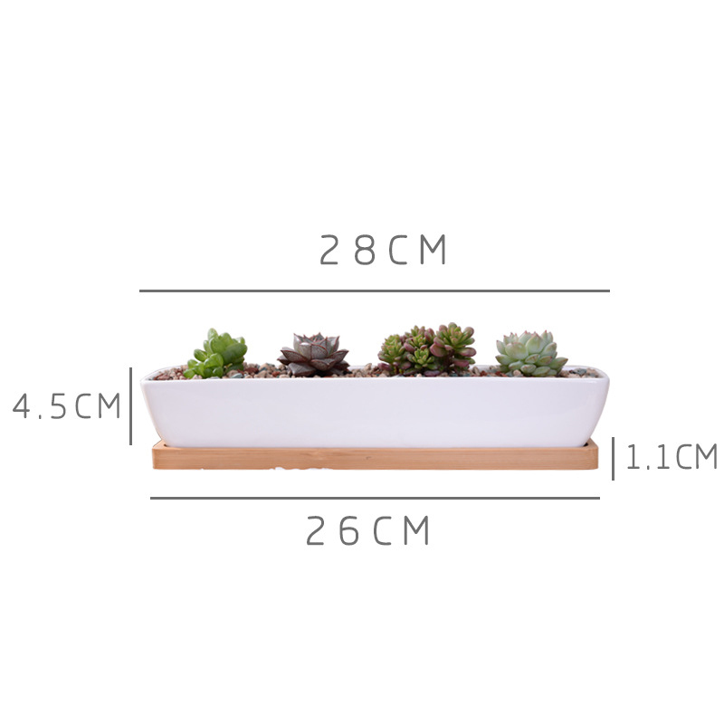 1 Bộ Tối Giản Hình Học Gốm Sứ  - đánh giá và giá Cactus Mix Pot