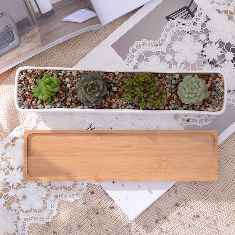 1 Bộ Tối Giản Hình Học Gốm Sứ  - đánh giá và giá Cactus Mix Pot