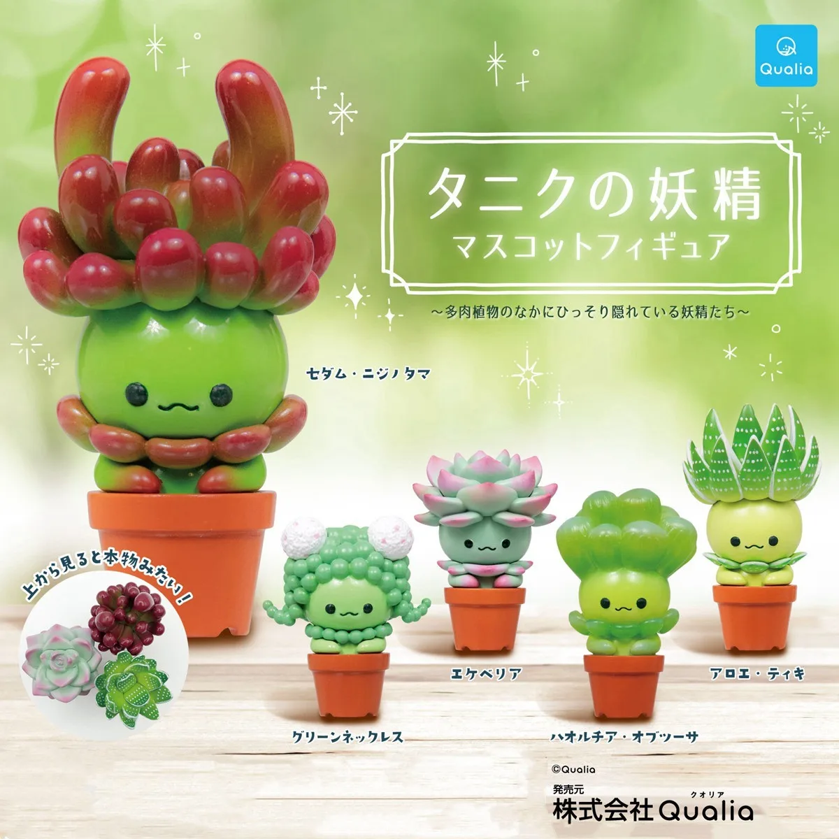 Original QUALIA Kawaii Gashapo - đánh giá và giá Cactus Mix Pot
