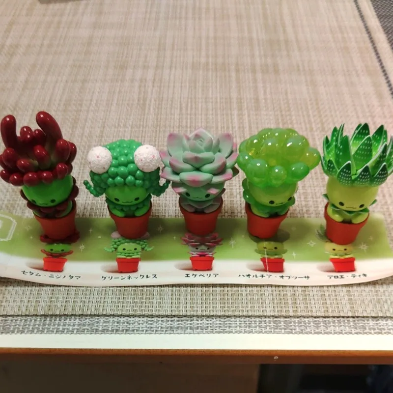 Original QUALIA Kawaii Gashapo - đánh giá và giá Cactus Mix Pot