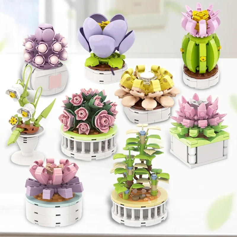 Block City DIY Potted Plants S - đánh giá và giá Cactus Mix Pot