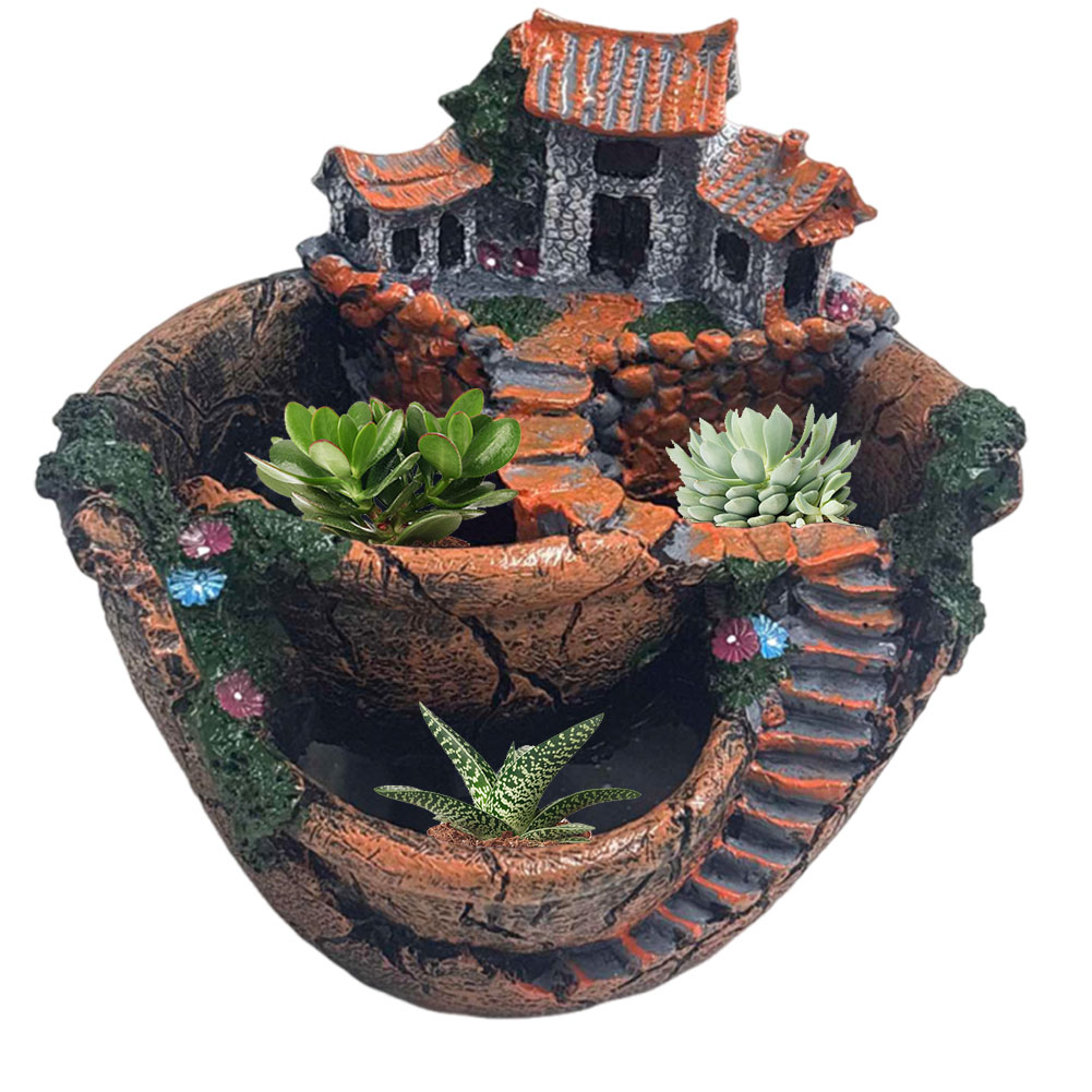 Succulent Pot Vintage Multi Po - đánh giá và giá Cactus Mix Pot