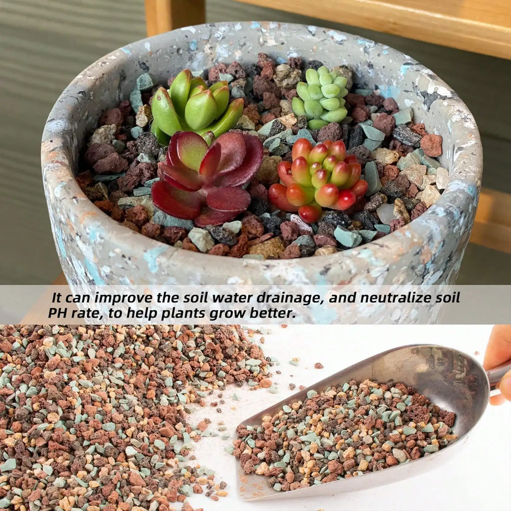 Mix Horticultural Lava Rock Pe - đánh giá và giá Cactus Mix Pot