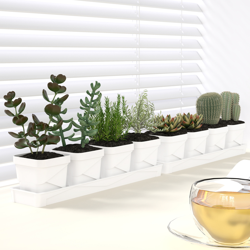 Nordic Minimalist Succulent Po - đánh giá và giá Cactus Mix Pot