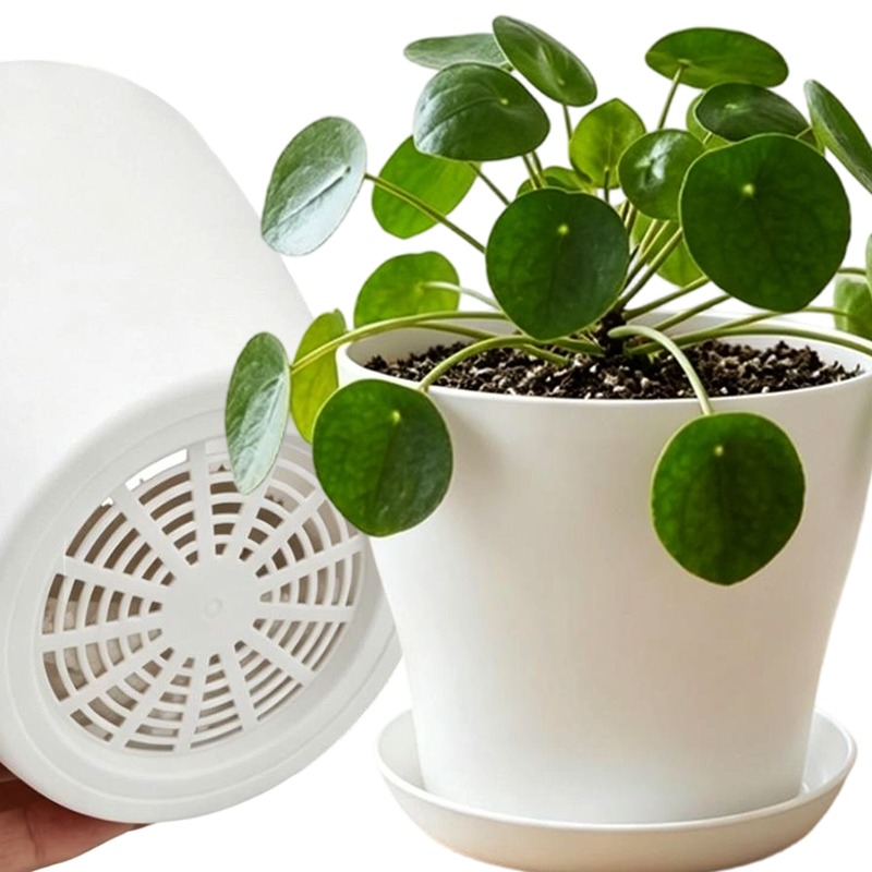 Plant Pot Set with Drainage Ho - đánh giá và giá Cactus Mix Pot