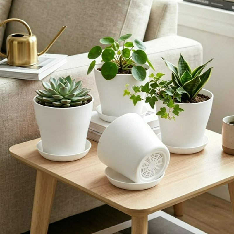 Plant Pot Set with Drainage Ho - đánh giá và giá Cactus Mix Pot